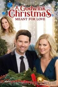 A Godwink Christmas: Meant For Love