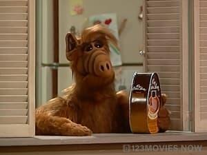 ALF Season 1 Episode 15