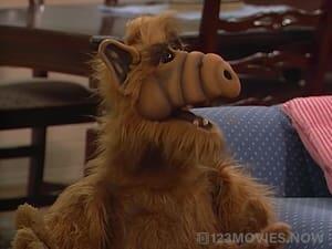 ALF Season 1 Episode 16