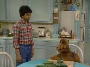 ALF Season 1 Episode 18