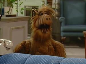 ALF Season 1 Episode 18