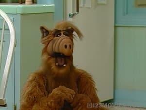 ALF Season 1 Episode 19