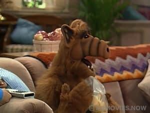 ALF Season 1 Episode 21