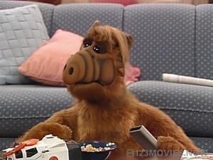 ALF Season 2 Episode 11