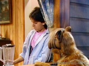 ALF Season 2 Episode 13