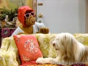 ALF Season 2 Episode 19