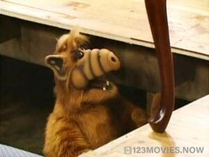 ALF Season 2 Episode 21