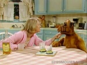 ALF Season 2 Episode 23