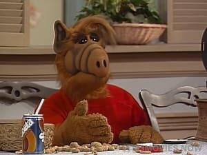 ALF Season 3 Episode 10