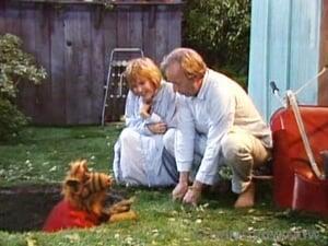 ALF Season 3 Episode 13