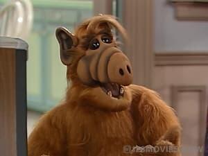 ALF Season 3 Episode 13