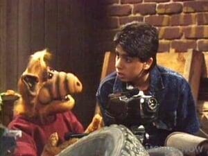 ALF Season 3 Episode 14