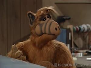 ALF Season 3 Episode 14