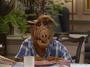 ALF Season 3 Episode 15