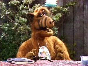 ALF Season 3 Episode 19