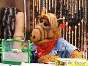 ALF Season 3 Episode 21