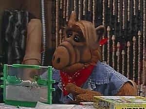 ALF Season 3 Episode 21