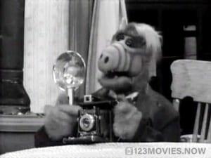 ALF Season 3 Episode 24