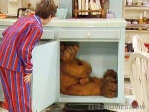 ALF Season 3 Episode 25