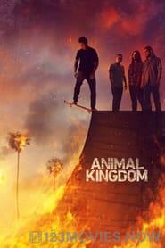 Animal Kingdom Season 1 Episode 1