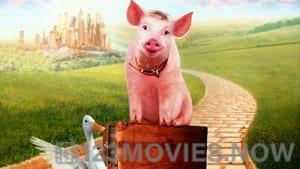 Babe: Pig in the City