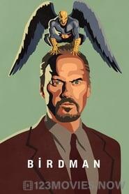 Birdman or (The Unexpected Virtue of Ignorance