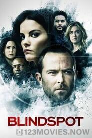 Blindspot Season 1 Episode 1