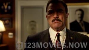 Blue Bloods Season 1 Episode 13