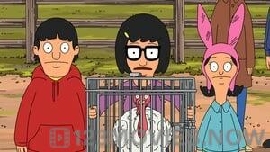 Bob’s Burgers Season 9 Episode 7