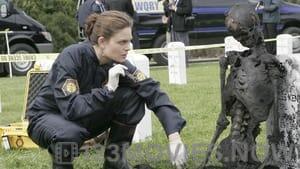 Bones Season 1 Episode 21