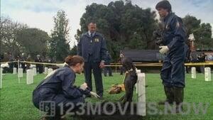 Bones Season 1 Episode 21