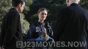 Bones Season 2 Episode 17