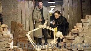 Bones Season 3 Episode 13