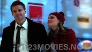 Bones Season 4 Episode 13