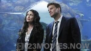 Bones Season 5 Episode 18