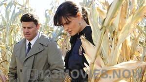 Bones Season 6 Episode 12