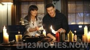 Bones Season 6 Episode 16