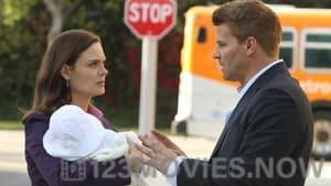 Bones Season 7 Episode 13