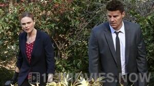 Bones Season 9 Episode 20