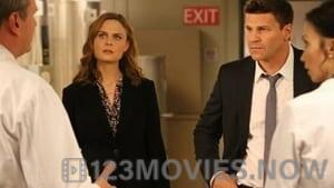 Bones Season 9 Episode 21