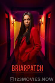 Briarpatch Season 1 Episode 10