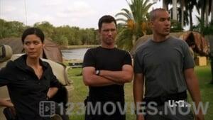 Burn Notice Season 5 Episode 8