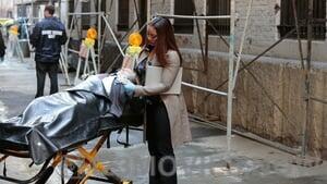 Castle Season 7 Episode 19