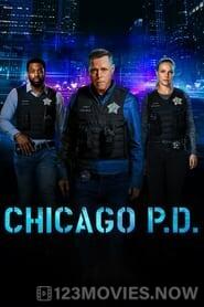 Chicago P.D. Season 1 Episode 11