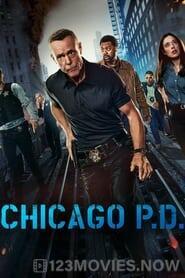 Chicago P.D. Season 12 Episode 13