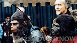 Conquest Of The Planet Of The Apes