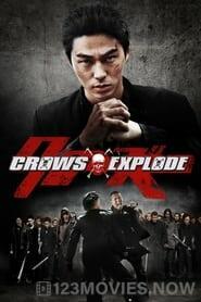 Crows Explode