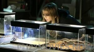 CSI: Crime Scene Investigation Season 15 Episode 17