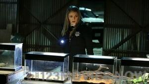 CSI: Crime Scene Investigation Season 15 Episode 17