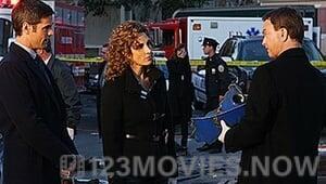 CSI: NY Season 5 Episode 17